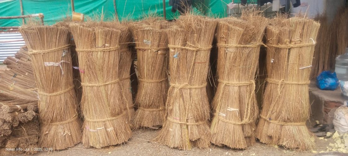 Norrmal All Mix Cocunut Brooms